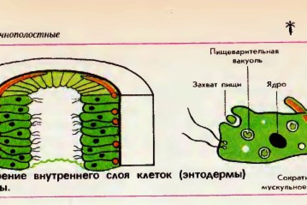 Как вывести деньги с кракена маркетплейс