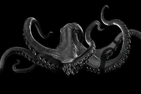 Kraken площадка