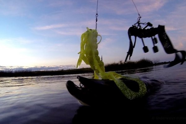 Kraken 11at