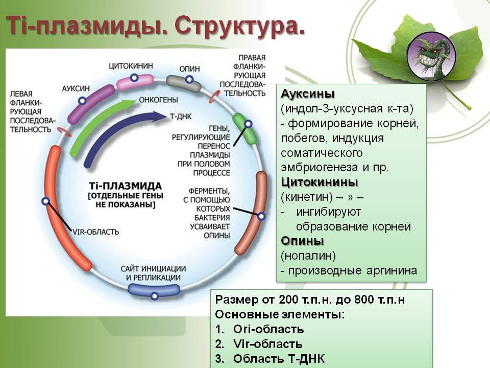 Найти ссылку на кракен