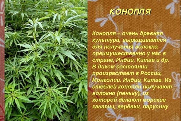 Ссылка кракен даркнет маркет