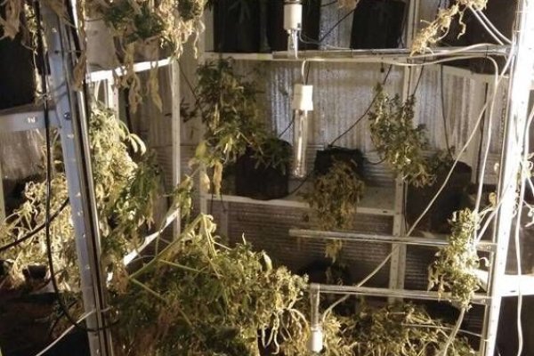 Кракен вывод средств